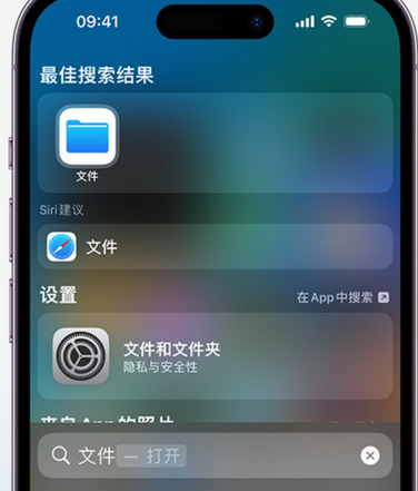 修武apple维修中心分享iPhone文件应用中存储和找到下载文件 