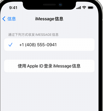 修武apple维修iPhone上无法正常发送iMessage信息