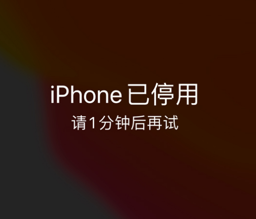 修武苹果手机维修分享:iPhone 显示“不可用”或“已停用”怎么办？还能保留数据吗？ 