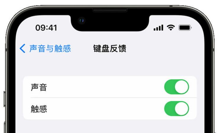 修武苹果手机维修分享iPhone 14触感键盘使用方法 