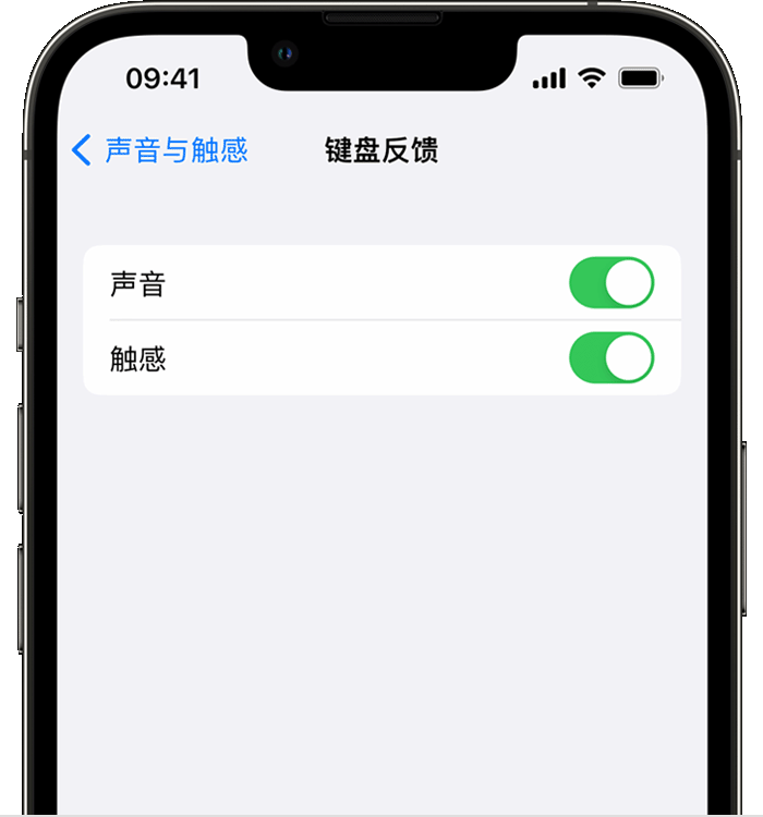 修武苹果14维修店分享如何在 iPhone 14 机型中使用触感键盘 