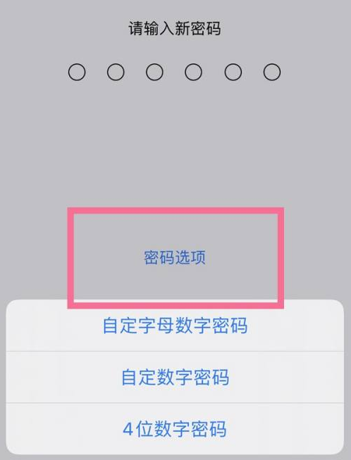 修武苹果14维修分享iPhone 14plus设置密码的方法 